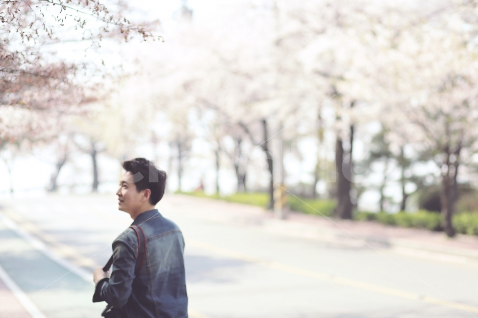 감성사진,벚꽃,봄,힐링,소풍,휴식,봄나들이,봄,계절,spring,season,사람,인물,인간,human,person,남성,남자,man,male