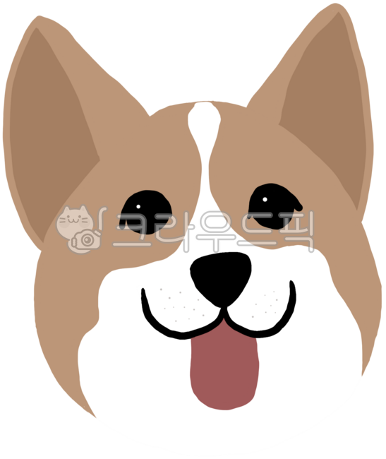 강아지,멍멍이,코기,귀여운,개,동물,강아지얼굴