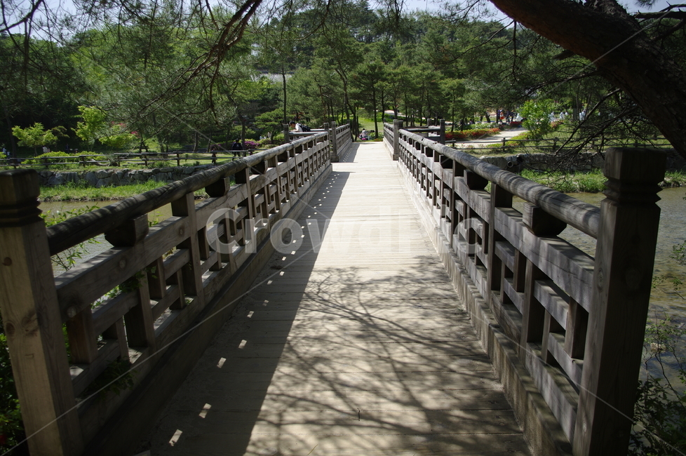 다리,원목,wood,나무,식물,plant,자연,nature,자연,풍경,nature,landscape,한국자연풍경,한국자연경관,korea nature landscape,handrail,난간,banister,railing
