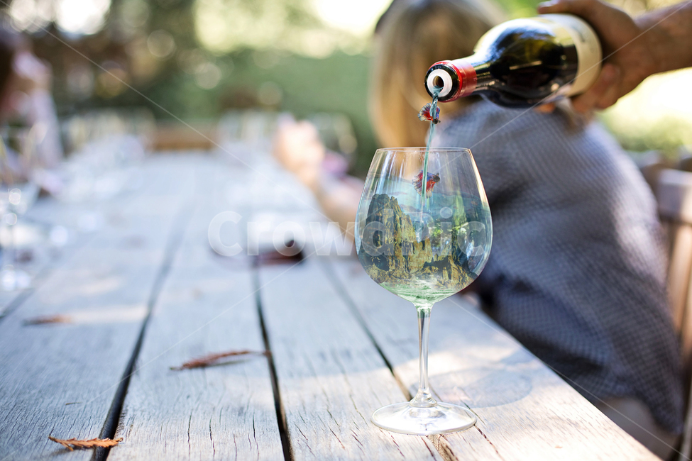 와인,와인잔,물고기,어항,절벽,유리,음주,포도주,마실것,wine,drink,glass,술,주류,alcohol