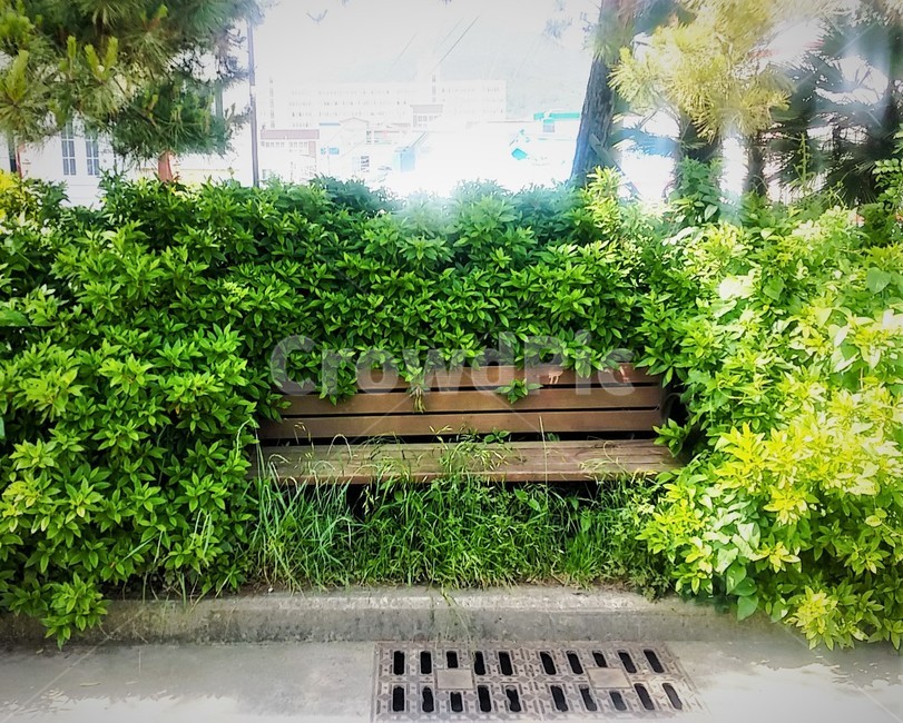 벤치,휴식,자연,감성,골목길,풍경,nature,landscape,의자,여름,summer,화창함,색감,계절,season,사물,물건,오브젝트,배경,thing,배경화면,object,녹색,green,빛,힐링,rest,relaxation,healing,녹음,야외,평화로운,조용한,한가한,한가로운,숲,백그라운드,color