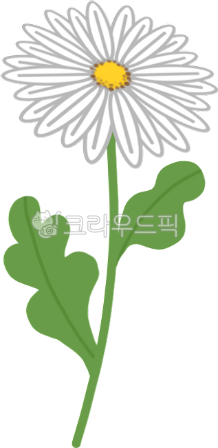 선물,꽃,데이지,쑥부쟁이,구절초,들꽃