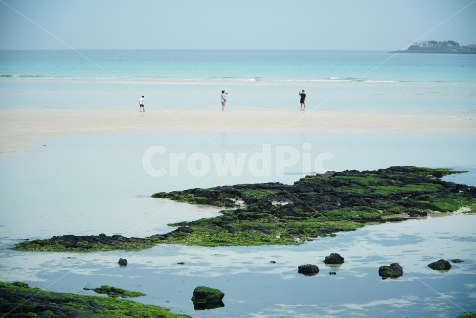 바다,제주도,해변,백사장,beach,힐링,여행,바닷가,가족,여름,summer,자연,풍경,nature,landscape,한국자연풍경,한국자연경관,korea nature landscape,해변,바다,beach,sea,제주도,jeju,jeju island,person,사람,human,인간,plant,식물