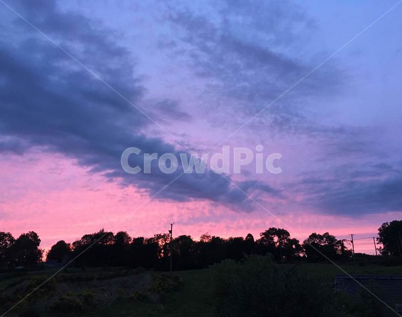 구름,나무,핑크스카이,하늘,pinksky,cloud,sky