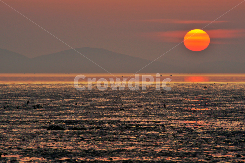 일몰,석양,해,지는해,갯벌,붉은해,자연,풍경,nature,landscape,한국자연풍경,한국자연경관,korea nature landscape,outdoors,옥외