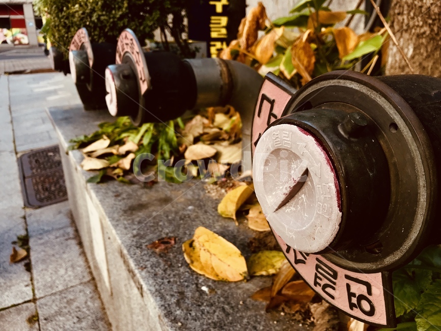 소화전,배수구,빈티지,아웃포커싱,고독,가을,계절,fall,autumn,season