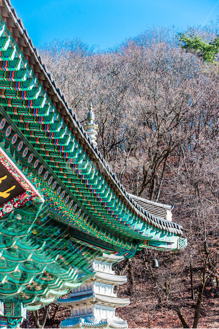 탑,단청,처마,문화유산,사찰,선,패턴,한국전통,한국문화,korean traditional,korean culture,종교,신앙,religion,belief,faith,건축물,건물외관,exterior,building,structure,architecture,construction