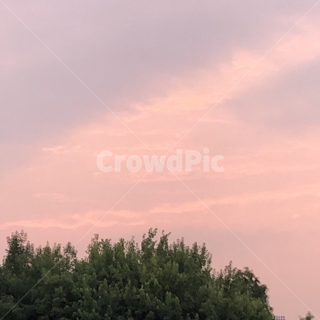 노을,핑크하늘,석양,하늘,감성사진,감성,자연,날씨