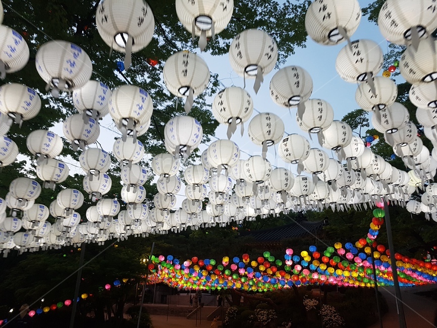 연등,초파일,석가탄신일,길상사,절,사찰,lotuslantern
