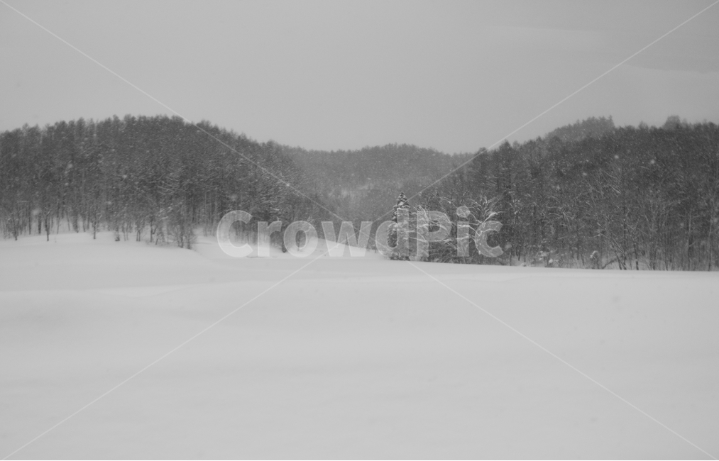 삿포로,겨울,눈,경치,설경,일본,호카이도,겨울,계절,winter,season,자연,풍경,nature,landscape,흑백,모노톤,monochrome,black and white,storm,폭풍,blizzard,눈보라,outdoors,옥외,snow