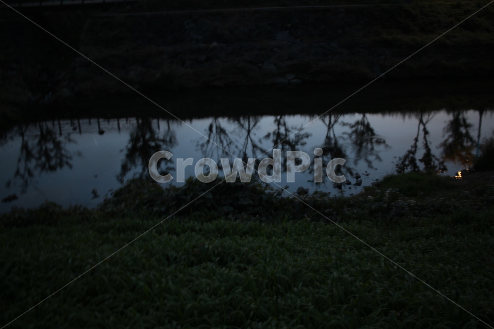 나무,그림자,반영,빗방울,연못,reflection,자연,풍경,nature,landscape,water,물,land,땅,outdoors,옥외