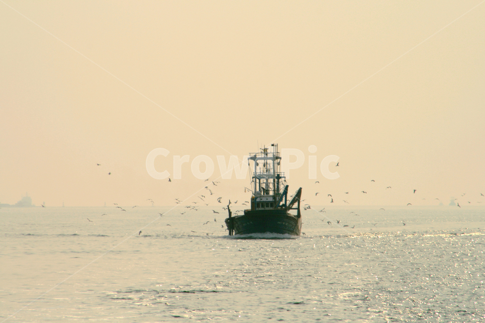 선박,어선,바다,갈매기,transportation,vehicle,boat,한국,서해,군산,어업,fishery,fishing industry