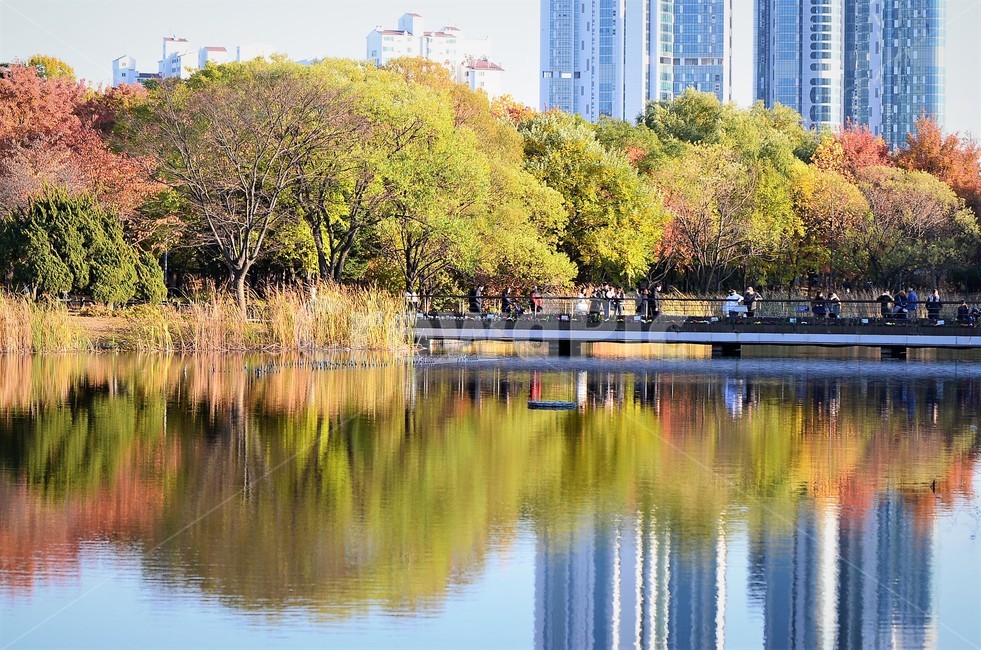 반영,호수,저수지,outdoors,가을,단풍,서울숲,풍경,가을,계절,fall,autumn,season