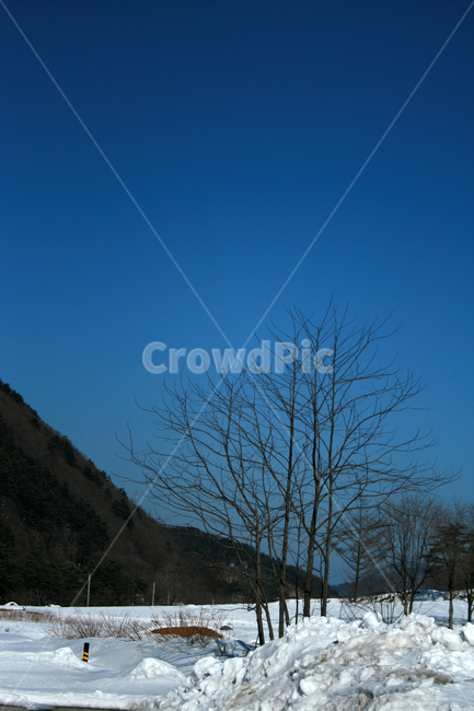 겨울,눈,하늘,나무,풍경,겨울,계절,winter,season,자연,풍경,nature,landscape,outdoors,옥외
