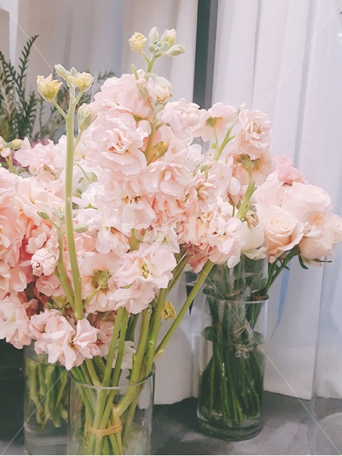 꽃,flower,식물,plant,감성,실내용화초,화분,화초,house plant