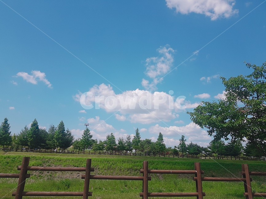 공원,하늘,맑은날씨,울타리,구름,풍경,야외,산책로,나무,정원,뭉게구름,잔디밭,잔디,trail,park,sun,cloud,tree,grass,skyblue,sky