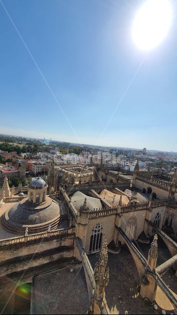 스페인,세비야,세빌리야,spain,sevilla,세비야대성당,성당,대성당,catholic,church,건축물,landscape,경치,nature,자연,풍경,scenery,옥외,outdoors