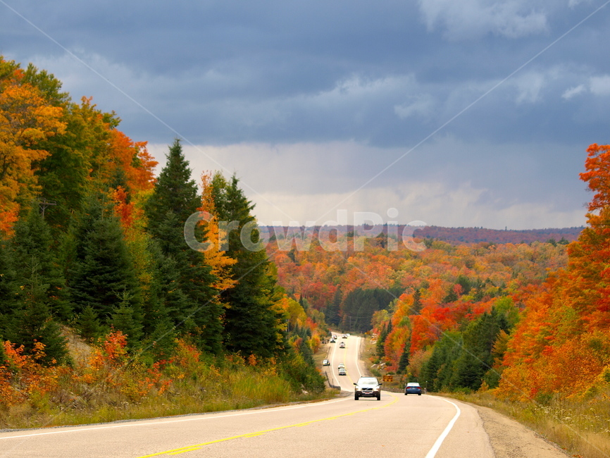 도로,가을,낙엽,road,fall,여행,자연,운전,드라이브,안개,풍경,단풍,표지판,아스팔트,녹색,길,way,자동차길,캐나다,알공퀸,산,언덕,오르막,방황,ppt,가을,계절,fall,autumn,season,자연,풍경,nature,landscape,wheel,바퀴,machine,기계,road,plant,식물,tree,나무,vehicle,차량,transportation,교통,car,차,automobile,자동차,freeway,고속 도로,highway,고속도로,fir,전나무