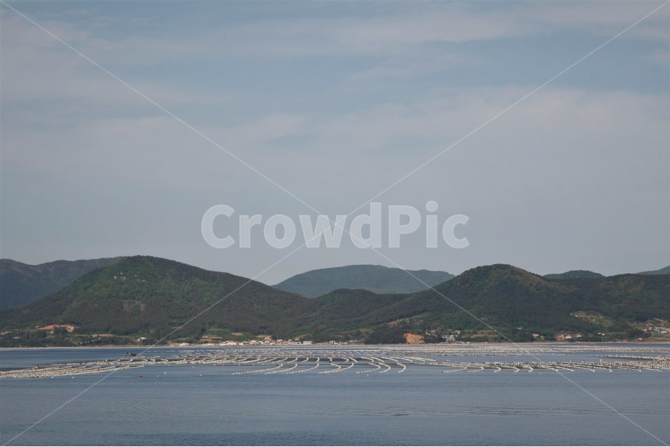남해,바다,가두리,양식장,풍경,자연,풍경,nature,landscape,산업,industry,industrial,어업,fishery,fishing industry,land,땅,outdoors,옥외,shoreline,해안선,water,물,sea,ocean,대양,coast,연안,island,섬