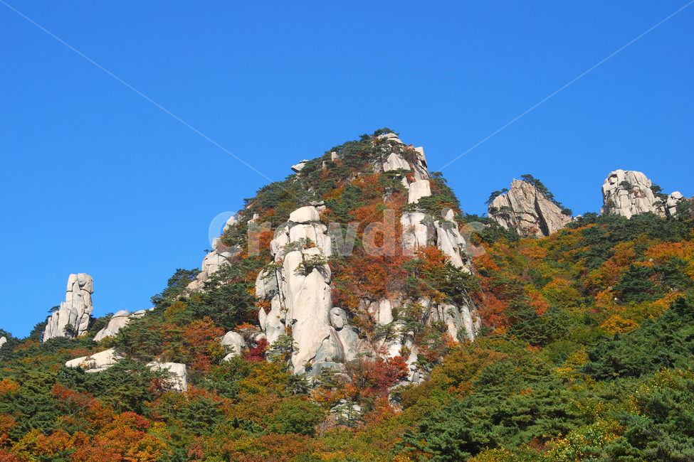 도봉산,산,단풍,가을,계절,풍경,자연,나무,숲,산림,삼림,봉,봉우리,산봉우리,등산,바위,바위산,절경,국립공원,하늘,서울,한국,가을,계절,fall,autumn,season,자연,풍경,nature,landscape,한국자연풍경,한국자연경관,korea nature landscape,outdoors,옥외,cliff,낭떠러지