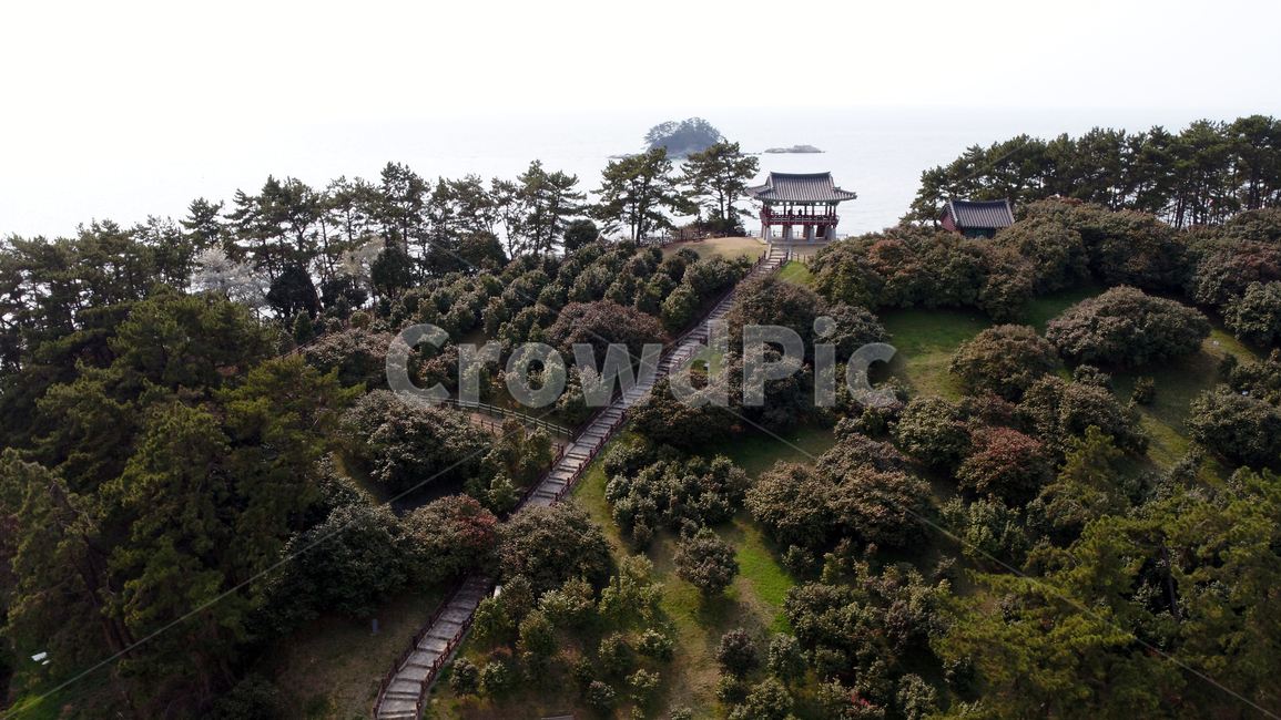 동백,동백정,동백꽃,꽃,자연,풍경,바다,flower,nature,landscape,sea,경치