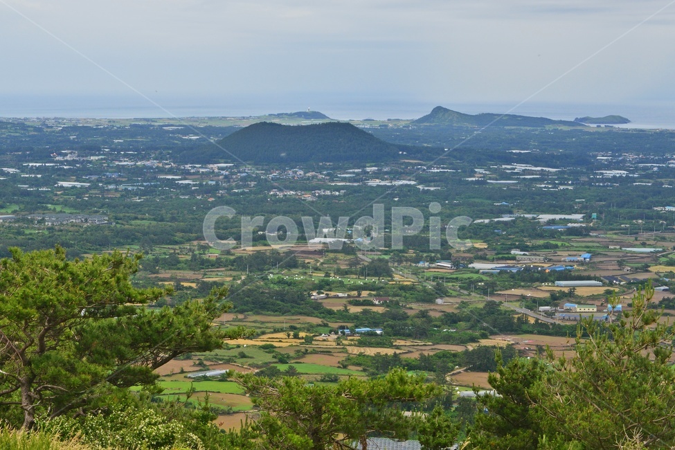 scenery,풍경,outdoors,옥외,landscape,경치,plant,식물,tree,나무,field,들,grassland,목초지,nature,자연,treetrunk,나무줄기,제주도,목장,꽃,오름,제주오름,길,공장,날씨,흐림