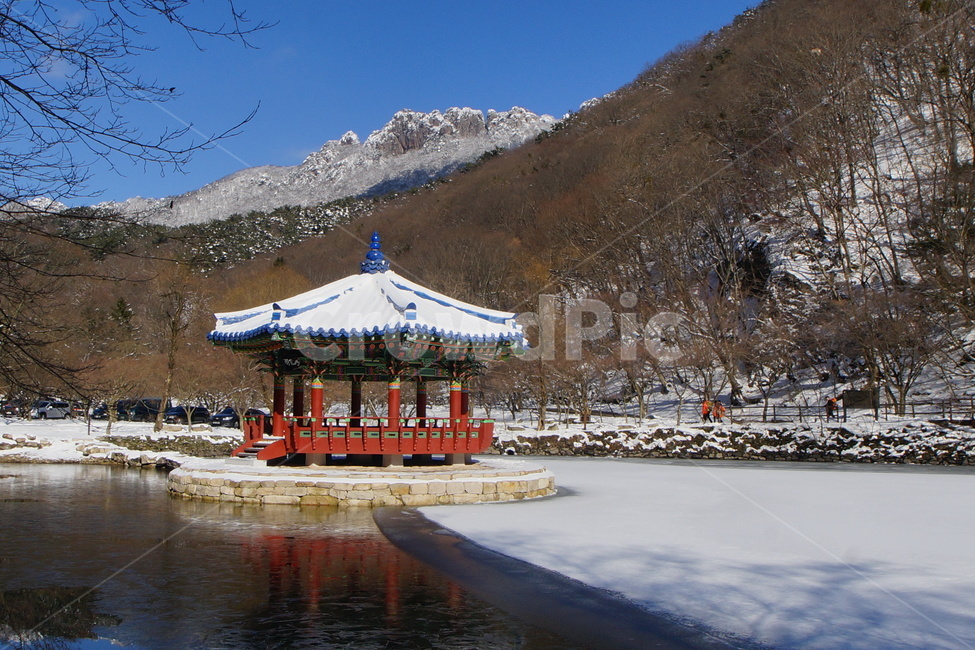 내장산설경,우화정,설경,국립공원,정읍,푸른하늘,겨울,눈,겨울,계절,winter,season,자연,풍경,nature,landscape,한국자연풍경,한국자연경관,korea nature landscape
