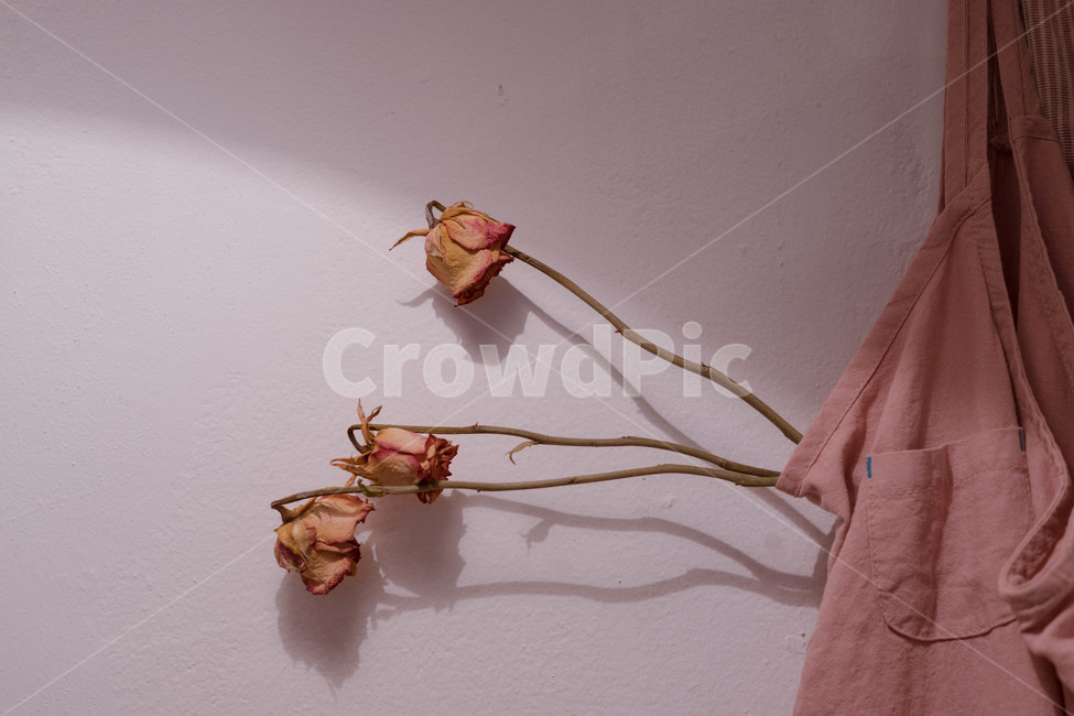 꽃,드라이플라워,앞치마,장미,장식,장미꽃,감성사진,감성,rose,dryflower,식물,자연,plants,nature,꽃,flower,인테리어,실내디자인,interior design