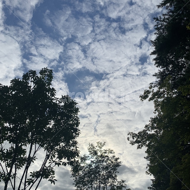 하늘,자연,환경,힐링,맑음,nature,자연,풍경,nature,landscape,outdoors,옥외,weather,날씨