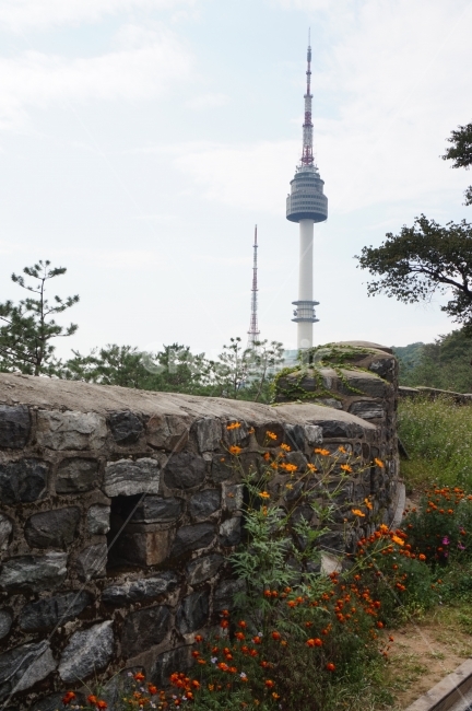 남산,n서울타워,서울,풍경,꽃,랜드마크,landmark,tourist attraction,한국랜드마크,한국관광지,한국명소,korea landmark,korea tourist attraction