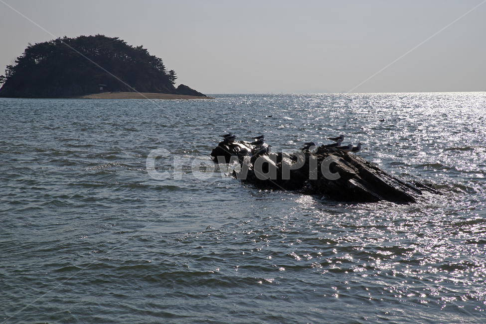 선재도,목섬,서해,갯벌,바다,인천,바위,갈매기,자연,풍경,nature,landscape