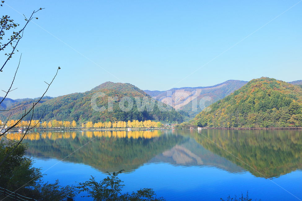 water,물,outdoors,옥외,nature,자연,호수,fall,autumn,lake,ginkgo,tree,yellow,blue,mountian,가을,은행나무,나무,산,자연,풍경,nature,landscape