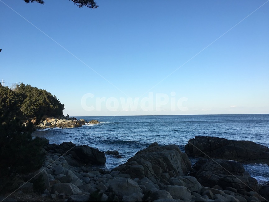 바다,자연,바위,파도,풍경,sea,nature,landscape,rock,wave,동해,동해바다,영덕