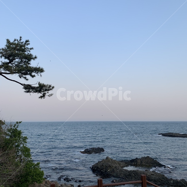 주상절리,절벽,바다,물,자연,노을