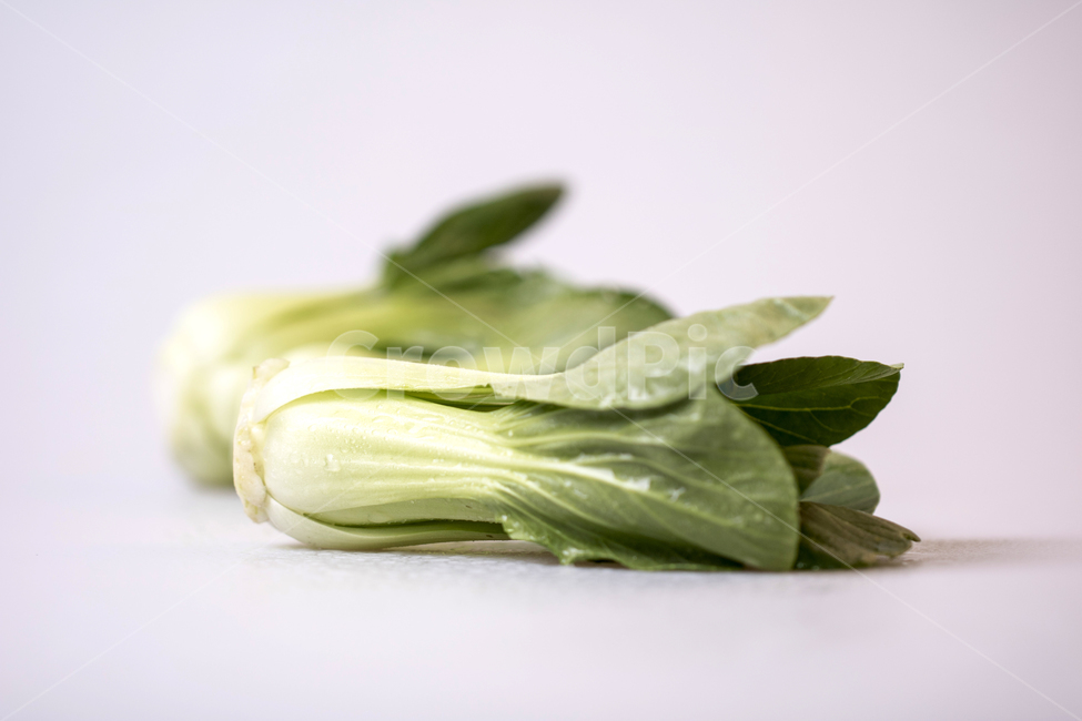 청경채,야채,채소,식물,열매,음식,디저트,웰빙,신선한,프레쉬,새콤한,달콤한,비타민,다이어트,건강,배경,백그라운드,아웃포커스,접사,근접,누끼,오브젝트,컨셉,음식,식재료,요리,food,cook,meal,dishes,food reserves,채소,야채,vegetables,누끼,remove background
