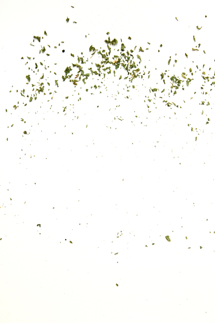 말린잎,cooking,parsleyleaf,양념,탑앵글,parsley,파슬리가루,파슬리,driedparsley,파슬리잎,dry,dryparsley,food,green,italian,leaf,macro,plant,powder,topview,식재료,closeup,요리재료,말린,마른,가루,파우더,이탈리안,음식,식재료,요리,food,cook,meal,dishes,food reserves,누끼,remove background
