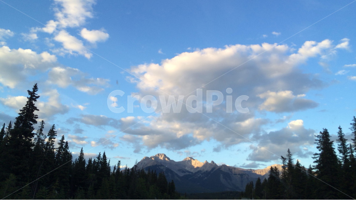 로키산맥,캐나다,밴프,로키국립공원,캐나다캐스케이드산,자연,풍경,nature,landscape,해외,외국,세계,foreign,oversea,world,세계자연풍경,해외자연풍경,외국자연풍경,world nature landscape,abies,아비,tree,나무,plant,식물,fir,전나무,outdoors,옥외