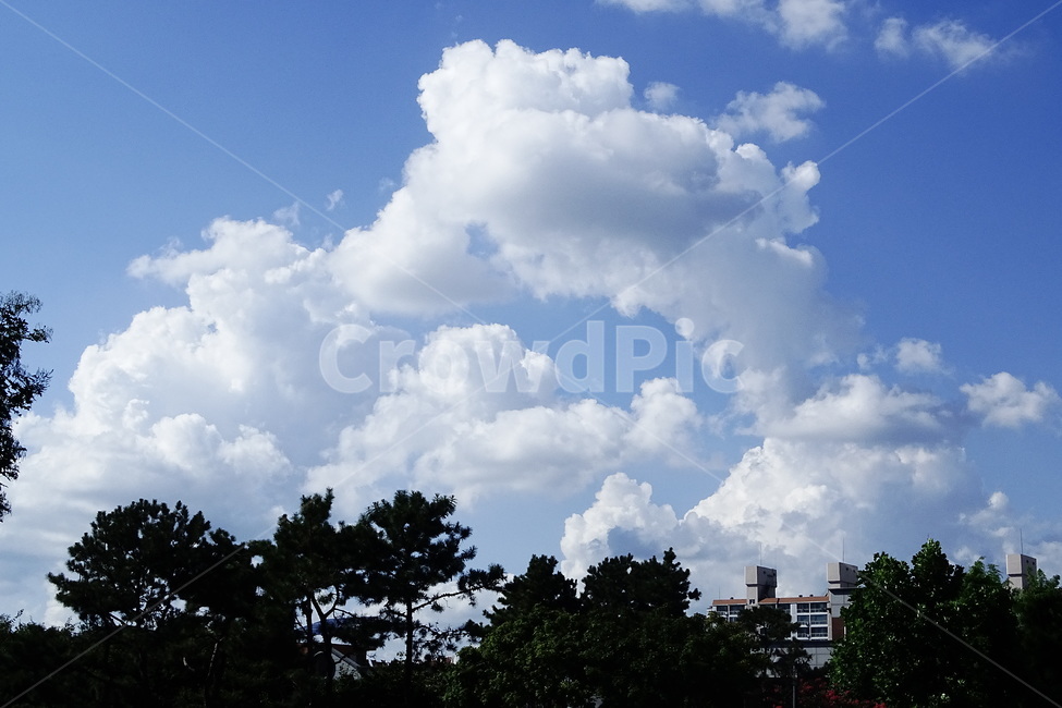 nature,자연,weather,날씨,cloud,구름,cumulus,적운,sky,하늘,자연,풍경,nature,landscape,outdoors,옥외