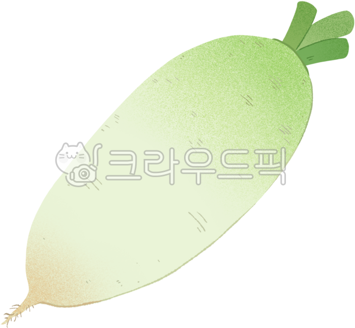 food, 음식, radish, 무, vegetable, 사진,이미지,일러스트,캘리그라피 - 파란버섯작가