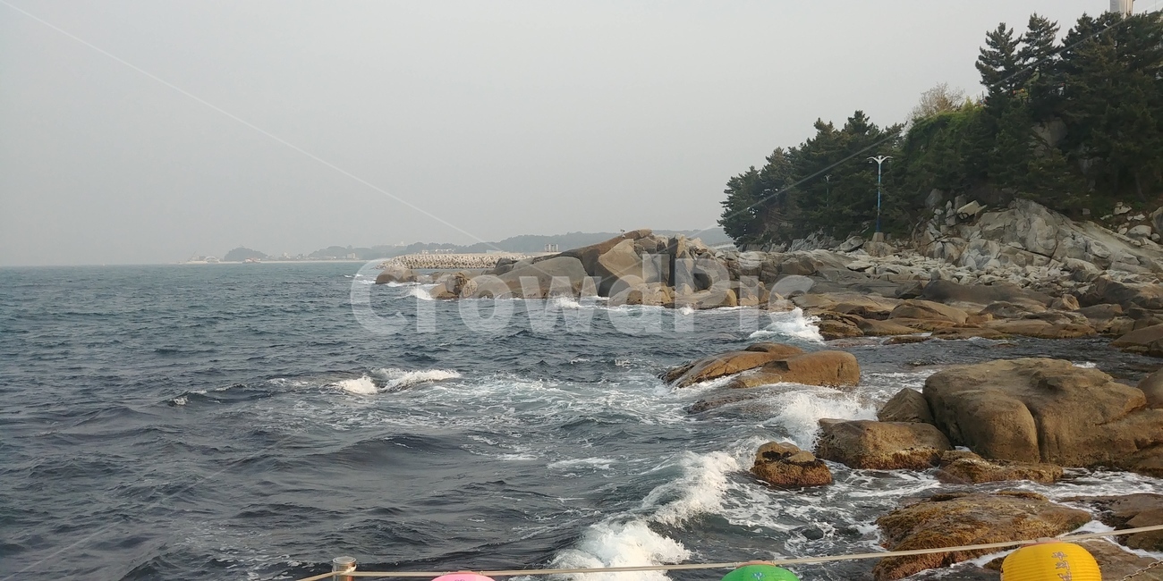 바다,파도,풍경,배경,바위