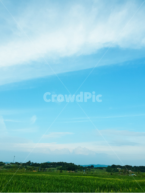 구름,하늘,시골,풍경,여름,자연,풍경,nature,landscape,outdoors,옥외,azure sky,푸른 하늘,sky