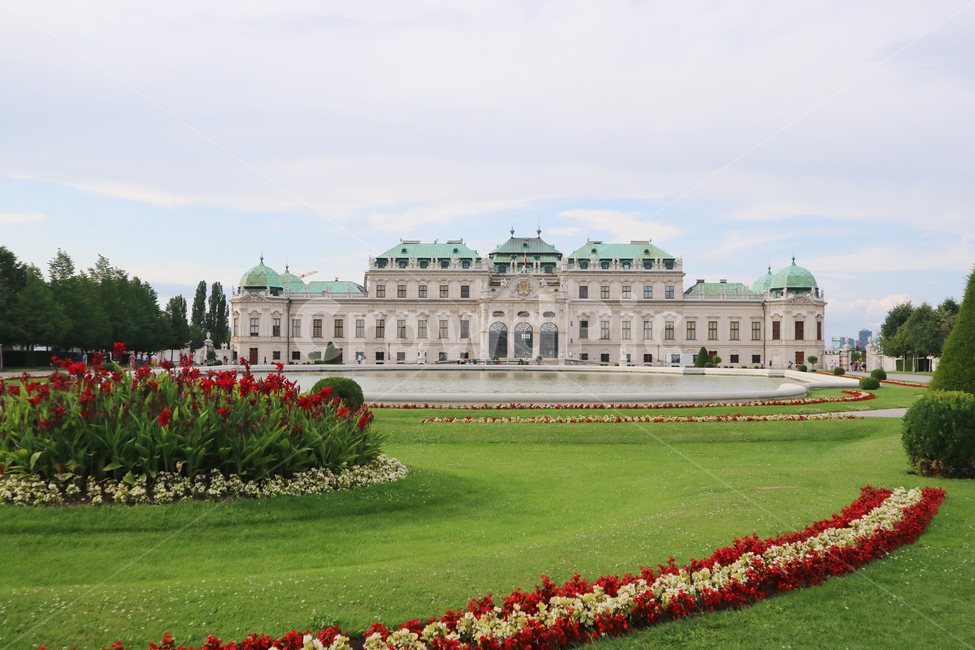 outdoors,옥외,nature,자연,풍경,scenery,경치,landscape,건물,grass,잔디,궁전,궁,palace,야외,분수,식물,정원,나무,공원,landmark,유럽,여행,비엔나,빈,오스트리아,유럽여행,관광,건축물,건물외관,exterior,building,structure,architecture,construction