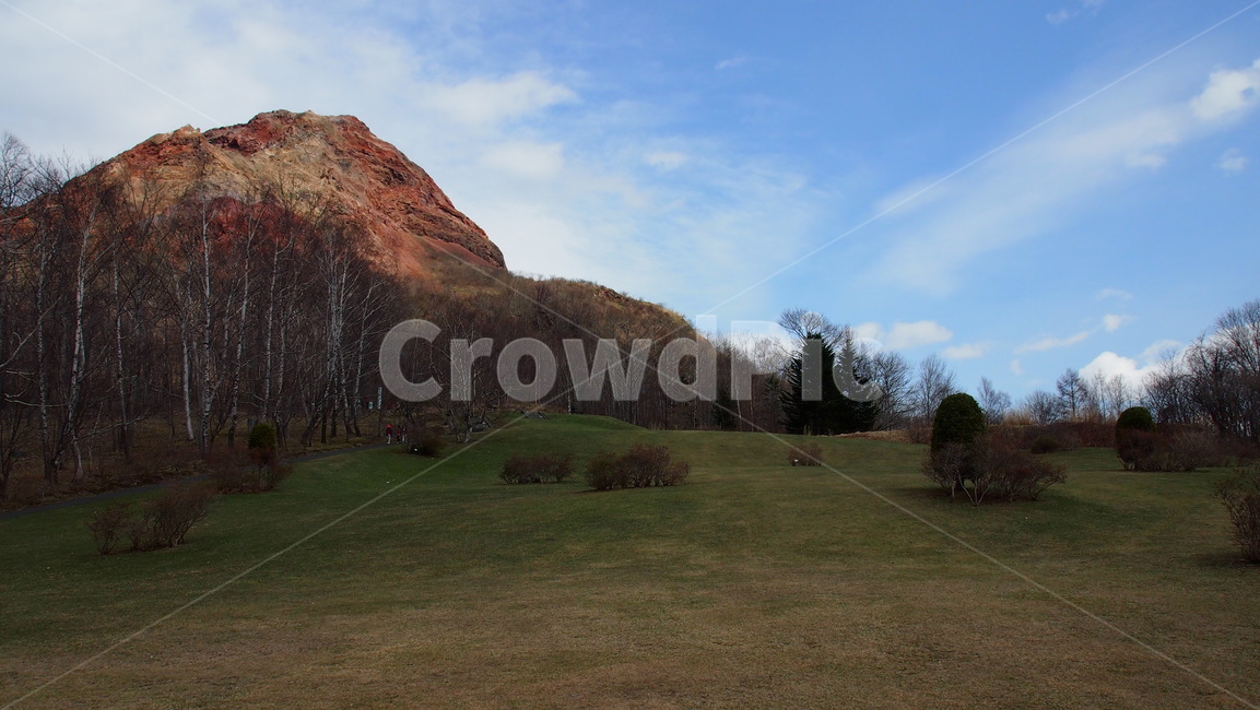 들,grassland,목초지,outdoors,옥외,nature,자연,field,쇼와신잔