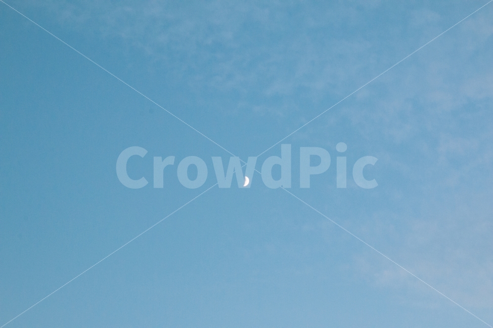 하늘,저녁,달,구름,야경,night,moon,sky,cloud,자연,풍경,nature,landscape,leisure activities,레저 활동,adventure,모험,flying,나는,animal,동물,bird,새
