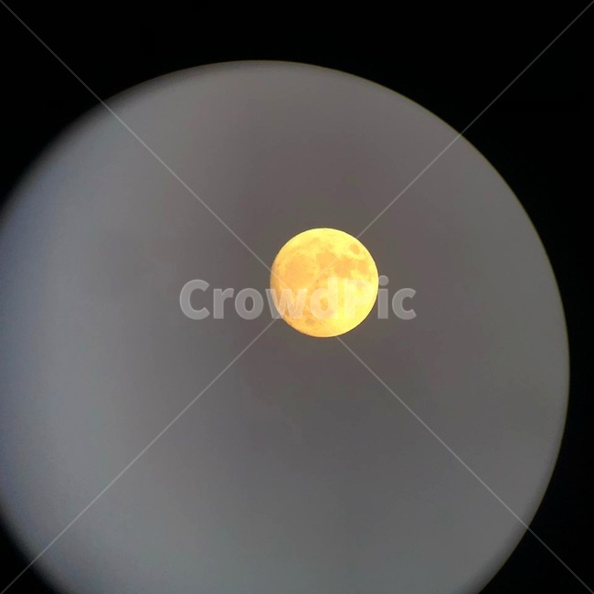 nature,자연,달,망원경,관찰,moon