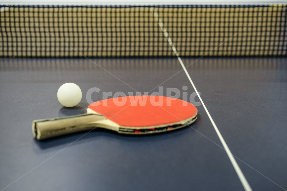 탁구,구기종목,스포츠,탁구대,tabletennis,탁구라켓,스포츠,레저,운동,sports,leisure,exercise,사물,물건,오브젝트,thing,object,matter