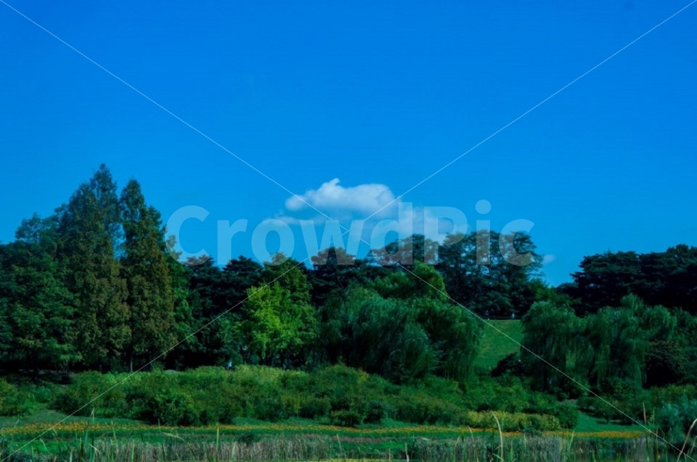 서울,잠실,몽촌토성,나들이,풍경사진,자연,풍경,nature,landscape,outdoors,옥외