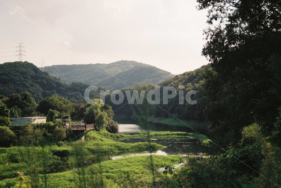 field,들,outdoors,옥외,nature,자연,grassland,목초지,숲,forest,강,river,자연,풍경,nature,landscape