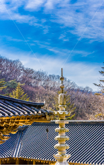 석탑,건축,사찰,문화유산,기와,선,한국전통,한국문화,korean traditional,korean culture,종교,신앙,religion,belief,faith,건축물,건물외관,exterior,building,structure,architecture,construction