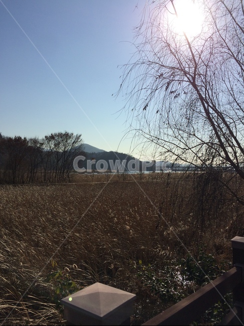 자연,가을,산책,가을하늘,감성사진,산,하늘,walking,nature,걷다,sunny,강,나뭇가지,나무,tree,sky,fall,autumn,풍경,korea,park,alone,country